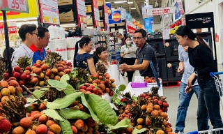 Vải thiều Bắc Giang hút khách tại siêu thị, khu du lịch nổi tiếng